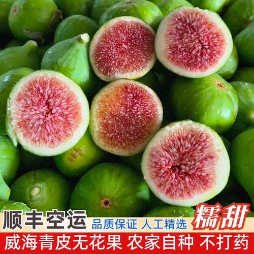 现货山东威海青皮无花果现摘当季新鲜孕妇水果绿皮糖包子顺丰包邮