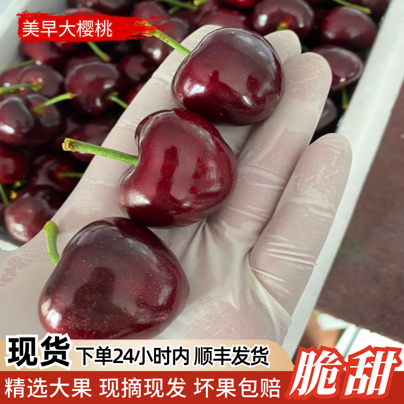 现货现摘美早车厘子当季新鲜孕妇