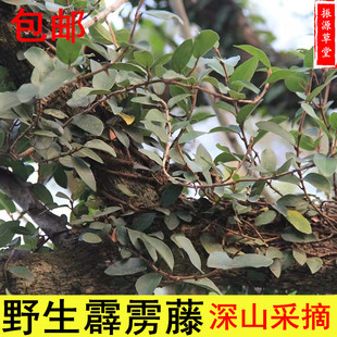 福建野生薜荔藤木莲藤木馒头藤薜荔枝霹雳藤中药材500g包邮