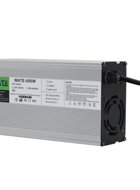 12.6V21A 22A 25A充电器 12V聚合物锂电池适用  3S 铝壳带风扇