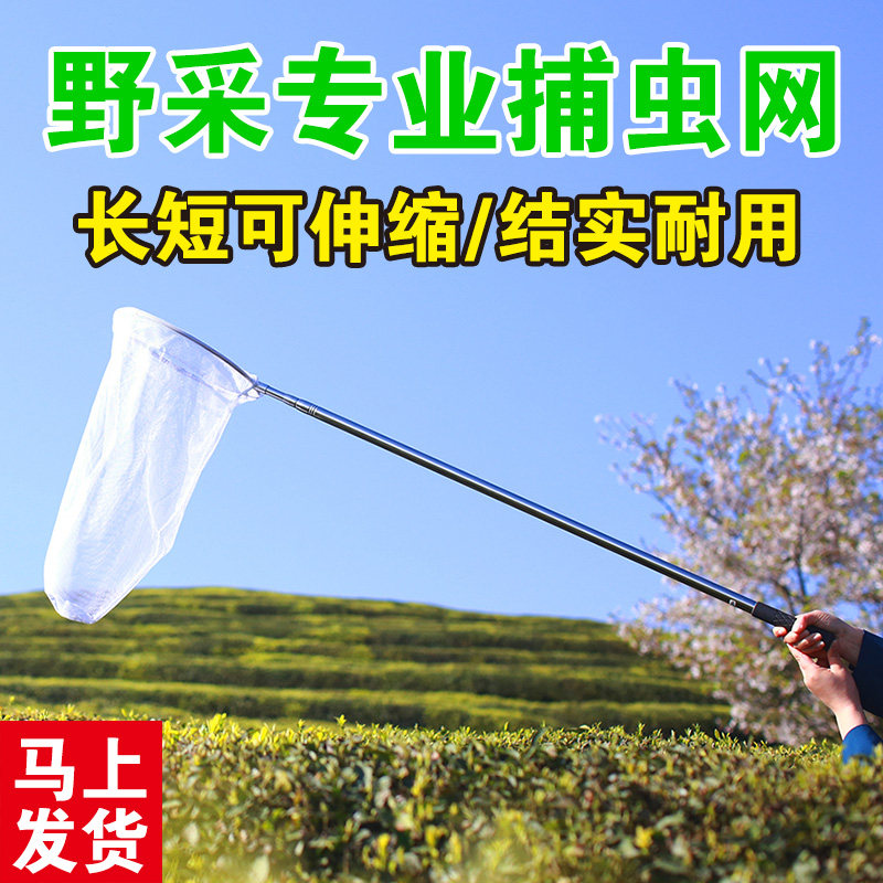 户外伸缩昆虫学者专业捕虫网野采工具神器捕蜻蜓捕蝴蝶网兜加长