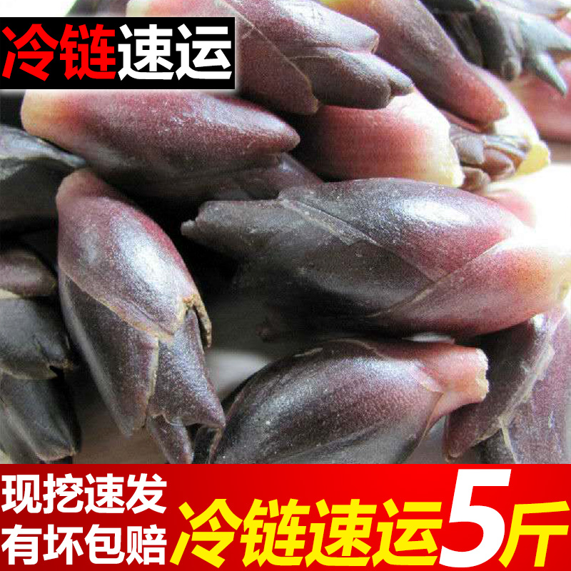 阳荷姜当季洋荷姜现挖野菜新鲜洋荷10斤蔬菜洋河姜洋火阳和茗荷姜