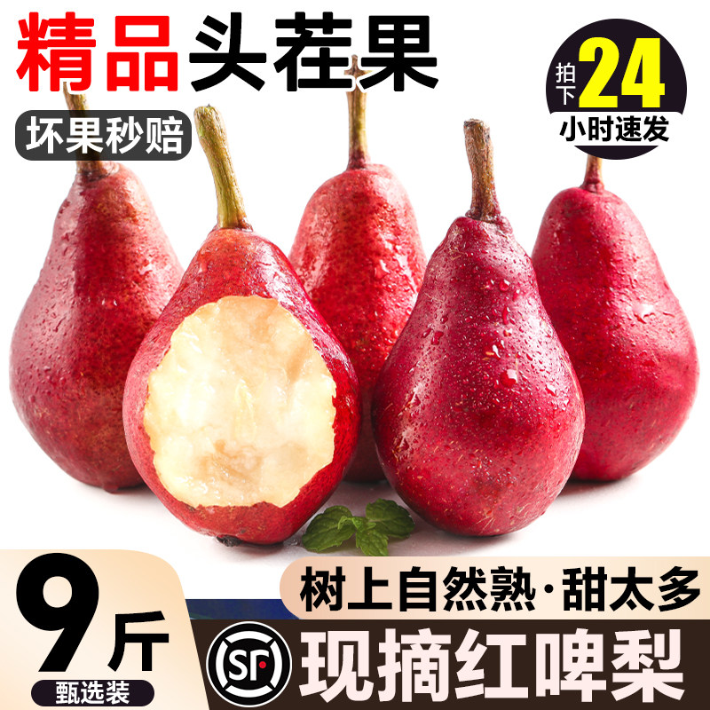 软糯红啤梨特大果现摘头茬