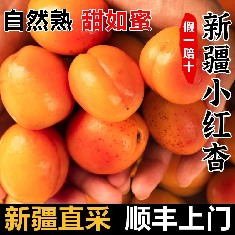 正宗新疆小红杏新疆直发