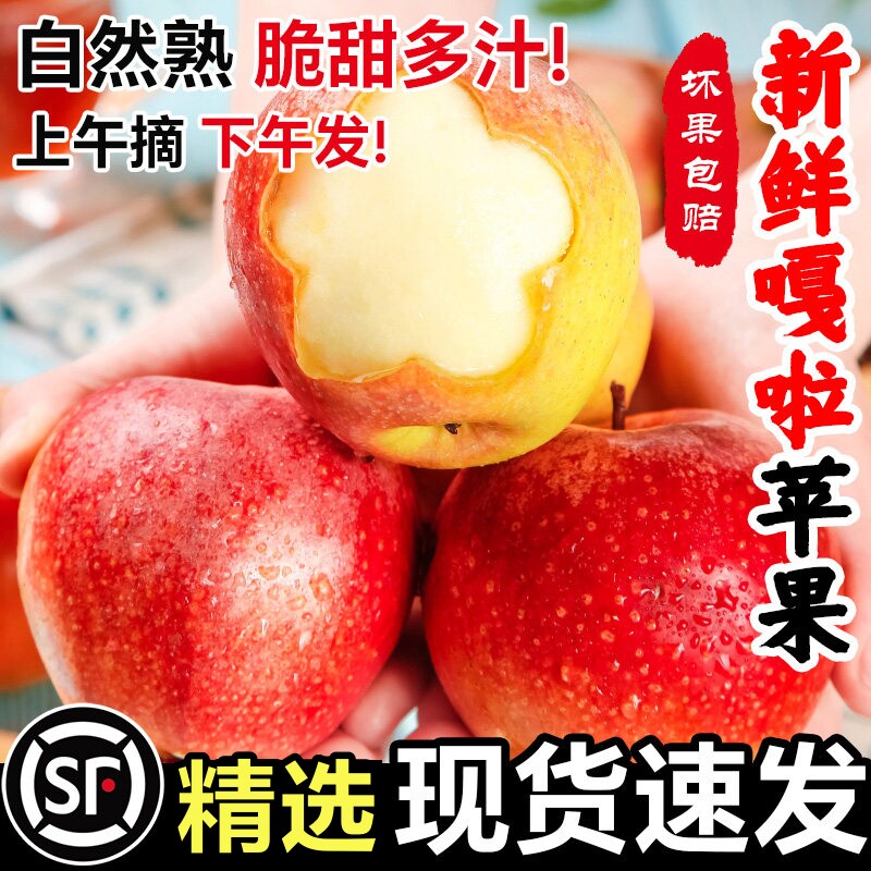 果园直发现摘嘎啦苹果脆甜