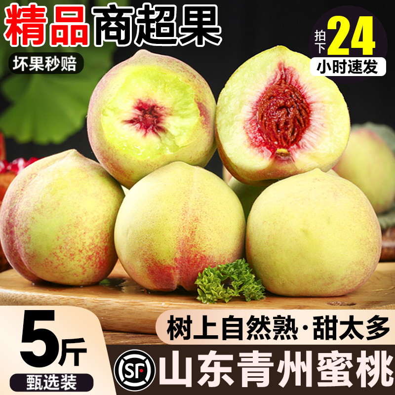 正宗山东青州蜜桃5斤冬雪蜜桃当季新鲜水果现摘青红毛桃冬桃整箱