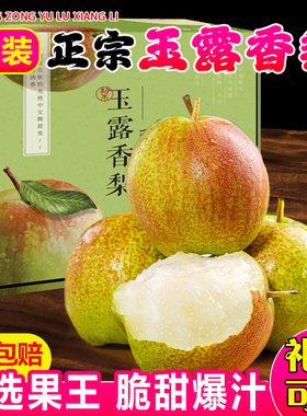 【顺丰上门】正宗山西玉露香梨新鲜水果梨子10斤整箱酥梨冰糖雪梨