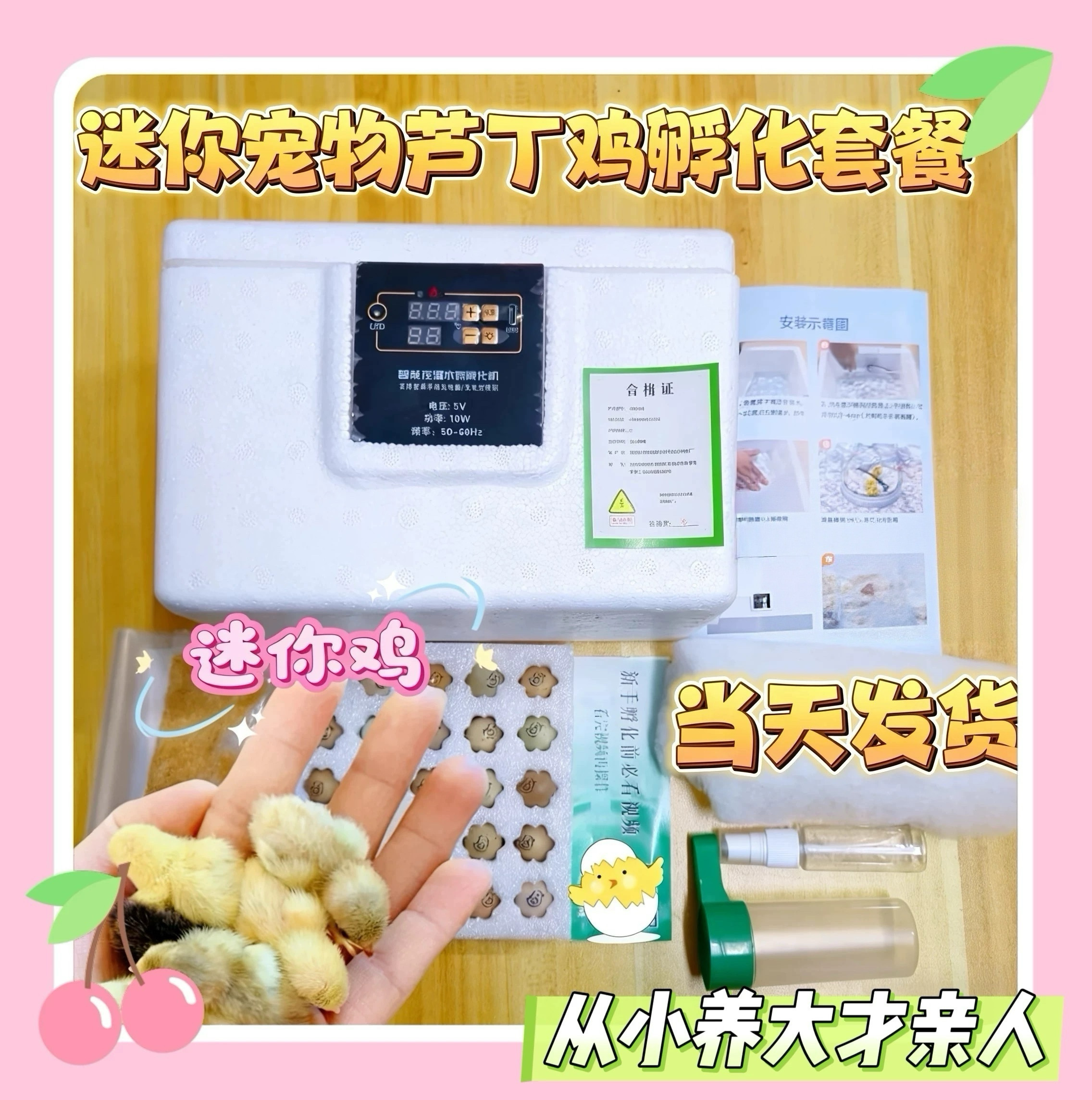 芦丁鸡受精蛋可孵化家庭饲养孵化套餐全套配齐
