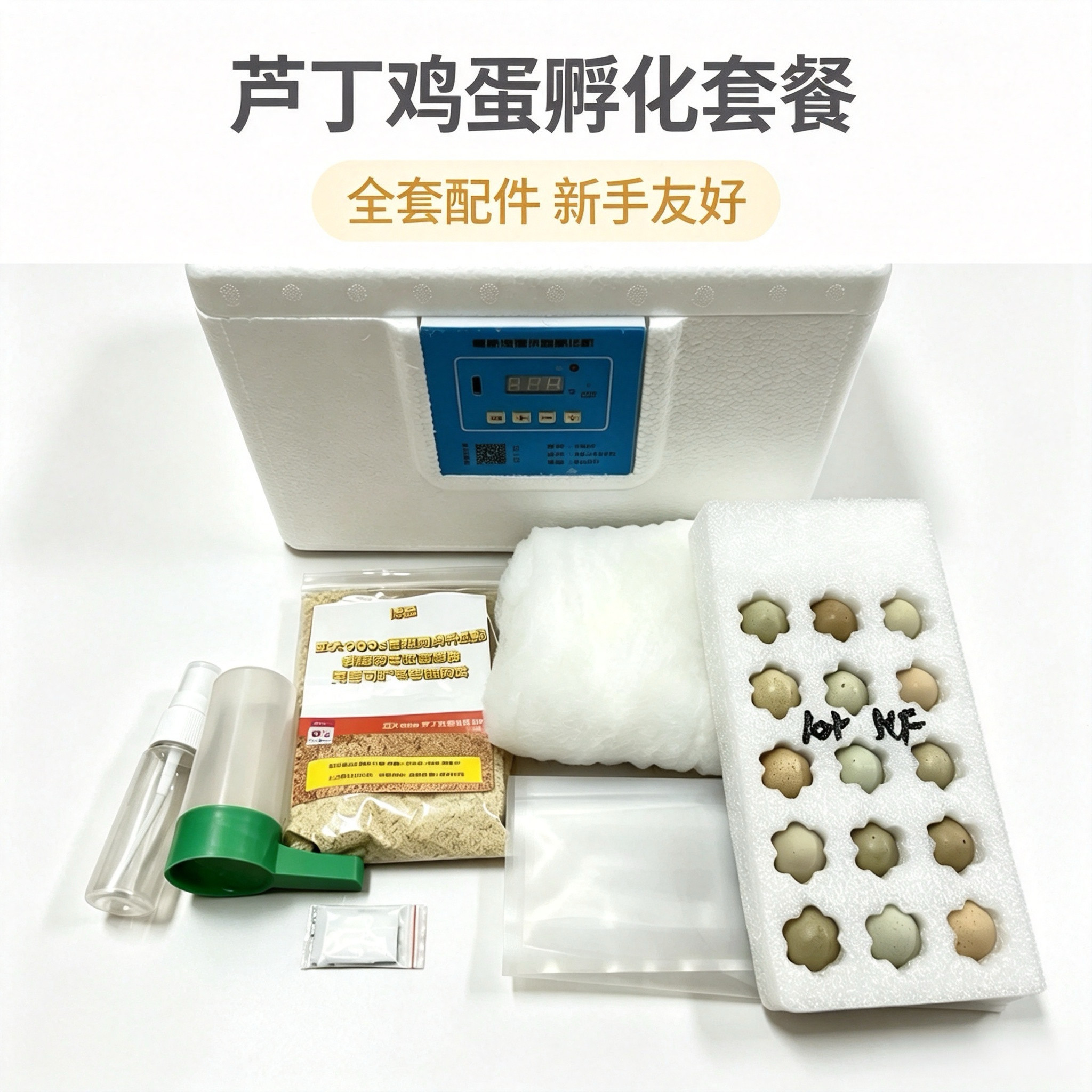 芦丁鸡蛋受精蛋可孵化全套 芦丁鸡孵化器家庭萌宠宠物鸡