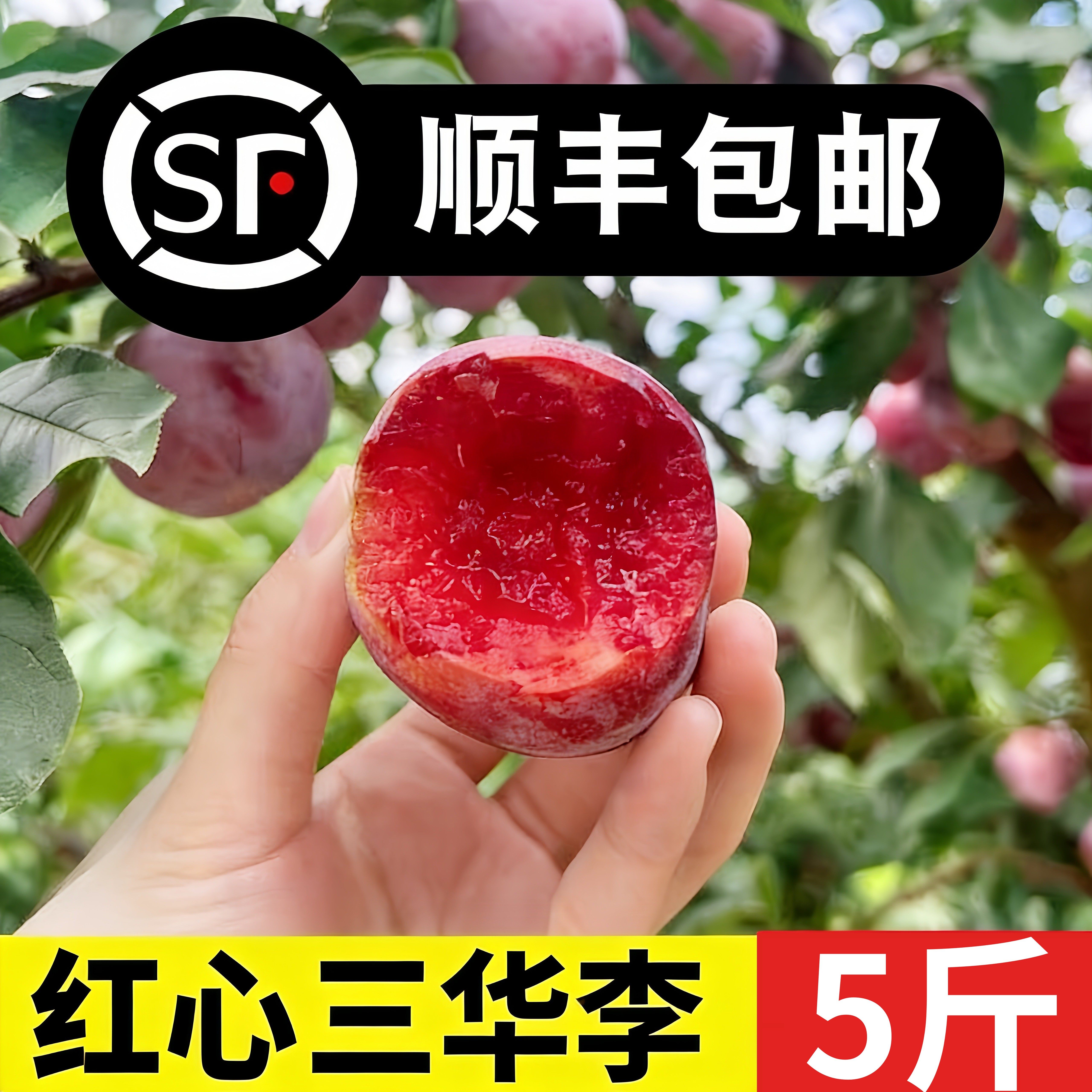红心三华李子新鲜5斤酸脆广东李子孕妇水果当季现摘大果整箱包邮3