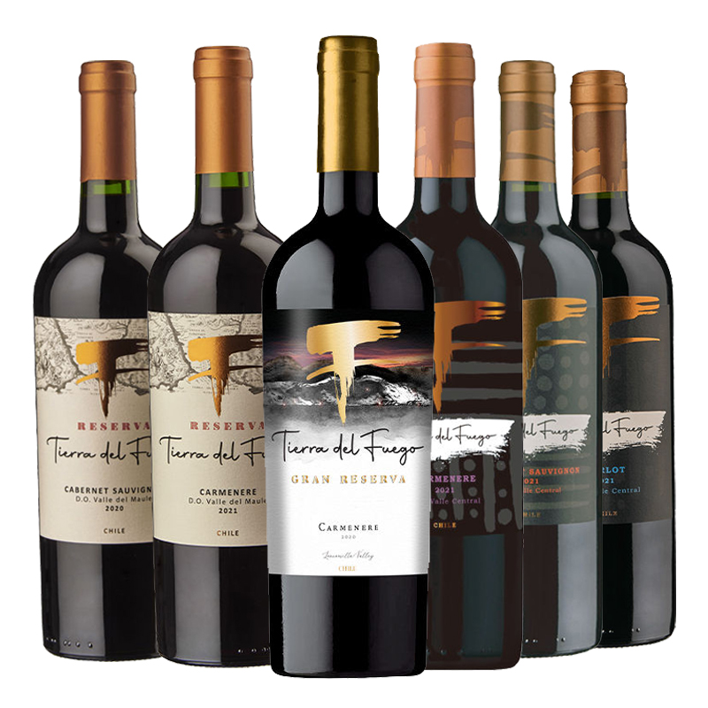 【进口】火地岛红酒750ml*6瓶智利梅洛/佳美娜珍藏干红葡萄酒组合