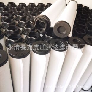 A30343011愛德華真空泵濾芯