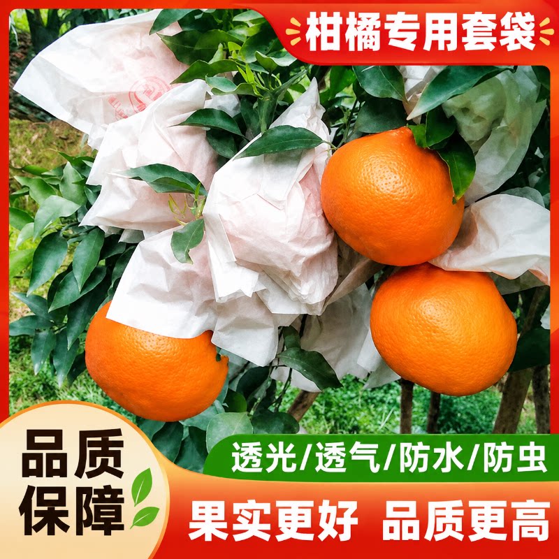 柑橘红美人专用套袋番石榴纸袋橘子橙子不知火丑橘居家日用套装