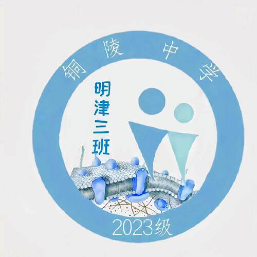 校服铜陵市中学明津3班常