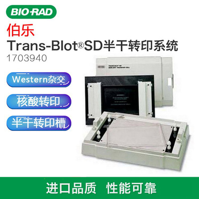 伯乐半干转印槽Trans-BlotSD