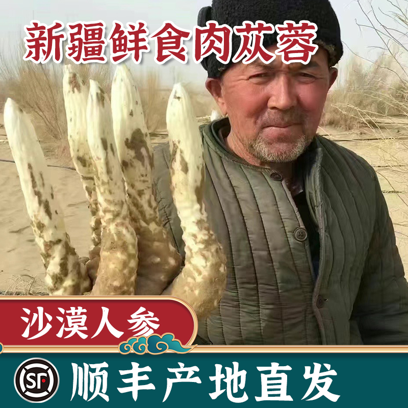新疆沙漠人参新鲜肉苁蓉大芸中药材正品草药整根泡茶酒锁阳淫羊藿