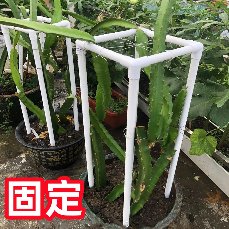 不烫苗火龙果支架固定杆