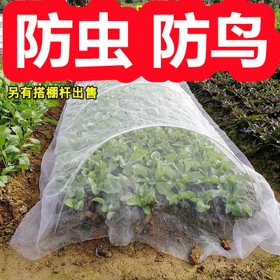 种菜防虫网种菜专用网防鸟