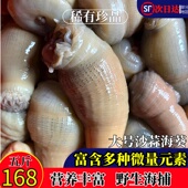 新鲜海葵沙蒜野生海捕鲜活冷冻5斤海肠海菊花根沙蒜豆面食材商用