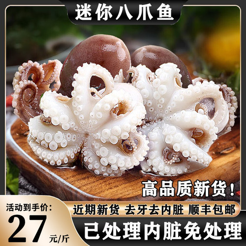 免处理迷你八爪鱼速冻27元/斤