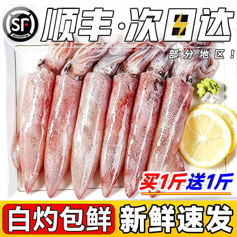 【买5斤送5斤】优选品质小管鱿鱼
