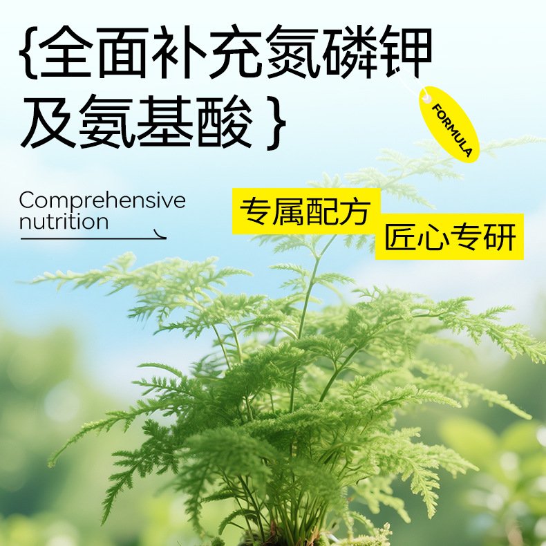 绿植盆栽室内好养水培植物适合客厅阳台办公室桌面小花卉绿萝甲醛