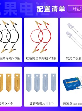 水果发电原电池实验套装盐水可乐电池中小学生物理科学材料小DF07