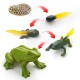 仿真小动物模型玩具成长生命周期青蛙海龟鸡幼儿园教具ES30