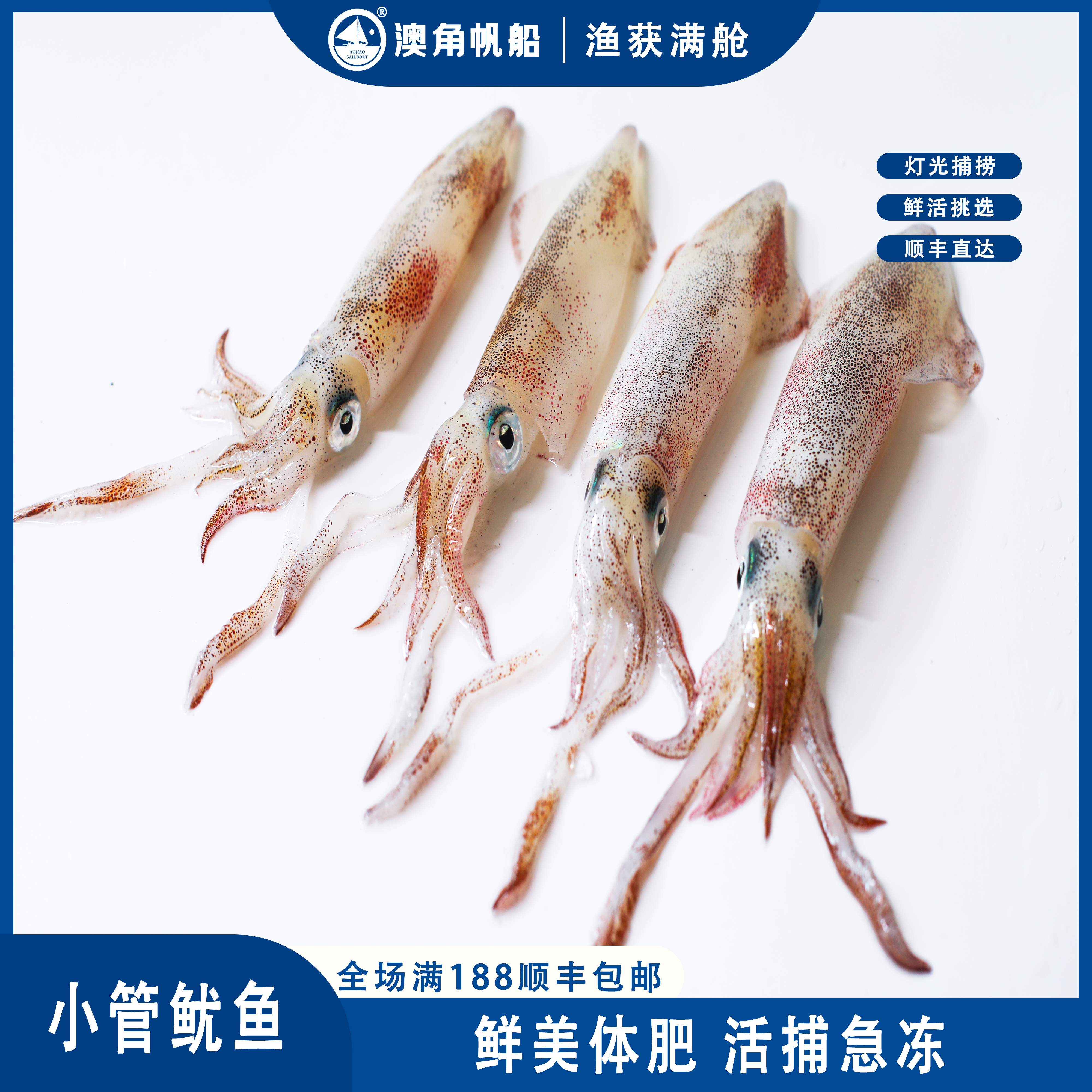 澳角帆船东山岛灯捕小管鱿鱼