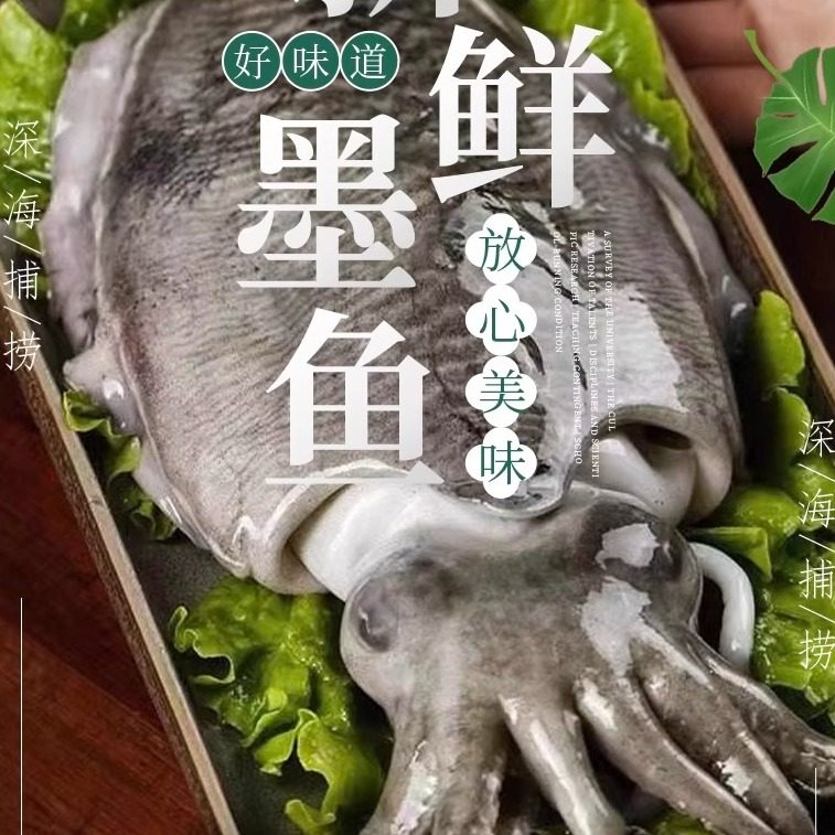 原汁原味新鲜墨鱼大乌贼