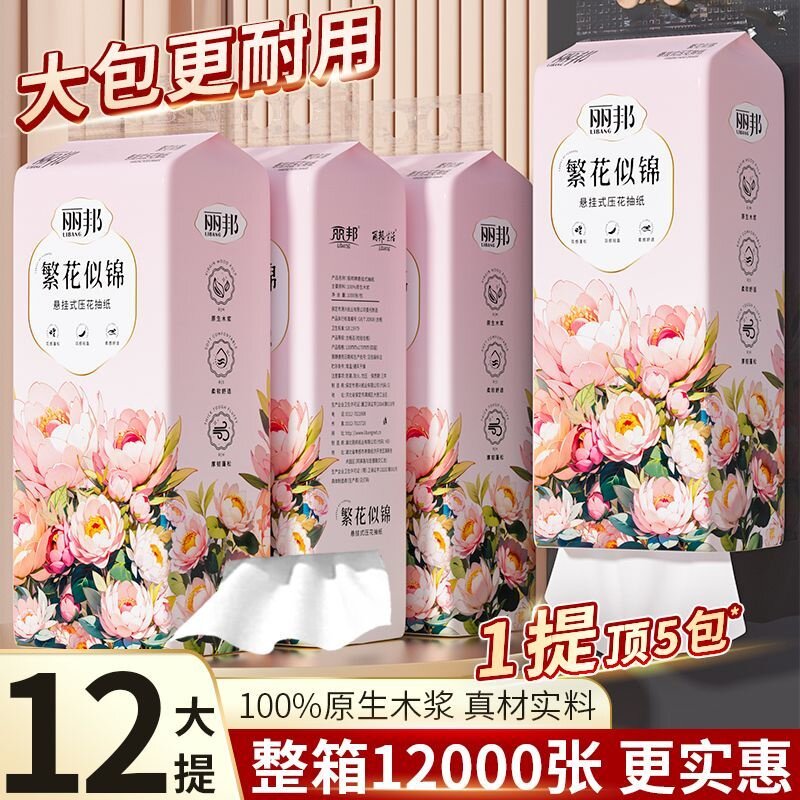 丽邦提挂式抽纸提装挂纸巾图片