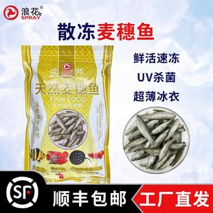 浪花鱼粮麦穗鱼500g缓沉型散冻龙鱼虎鱼魟大型鱼观赏鱼食专用饵料