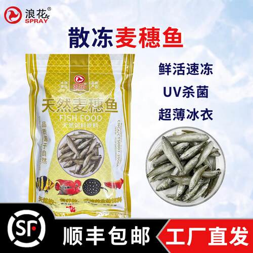 【顺丰包邮】浪花麦穗鱼鱼食饲料