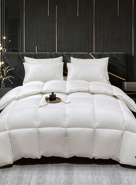 Hotel Bedsure Comforter Duvet Winter Down quilt blankets