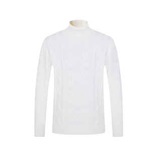 DOSERMO丹西摩高端男装冬季新款高领毛衫毛衣打底上衣060354123