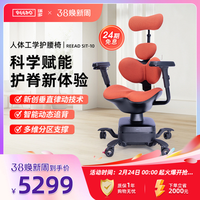 REEAD/瑞多科技智能律动护腰人体工学椅电脑椅办公椅护腰椅SIT-10