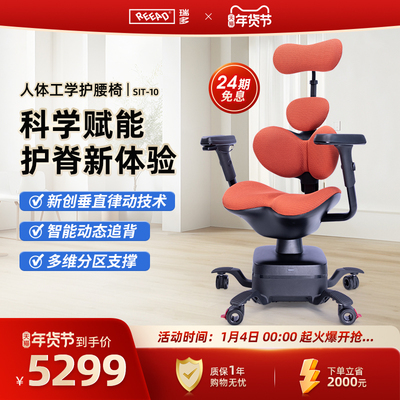 REEAD/瑞多科技智能律动护腰人体工学椅电脑椅办公椅护腰椅SIT-10