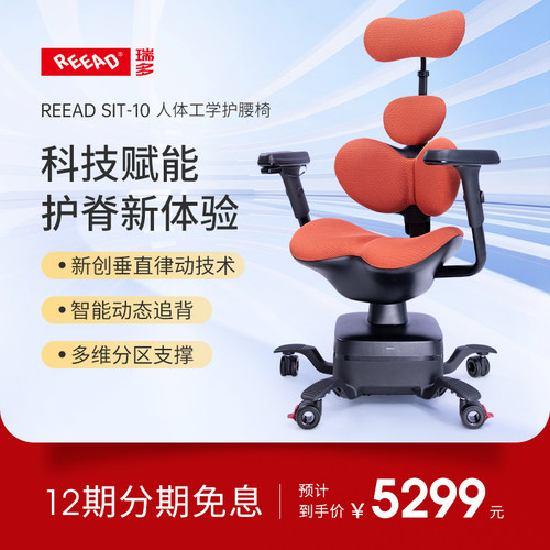 REEAD/瑞多科技智能律动护腰人体工学椅电脑椅办公椅护腰椅SIT-10