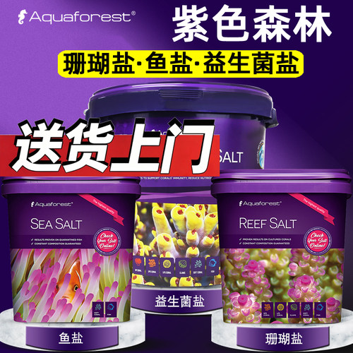 波兰AF紫色森林珊瑚盐鱼盐海缸