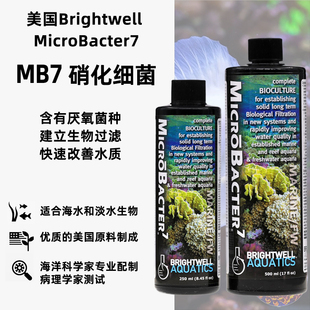 美国BW硝化细菌海缸MicrBacter7厌氧菌MB7高浓缩珊瑚缸Brightwell