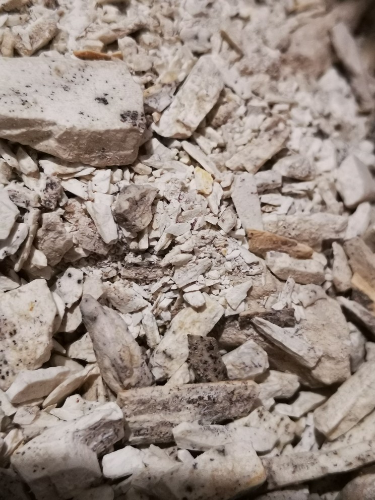 怀古堂山西道地中药材野生精选五花龙骨牡蛎桂枝非煅龙骨吸舌包邮