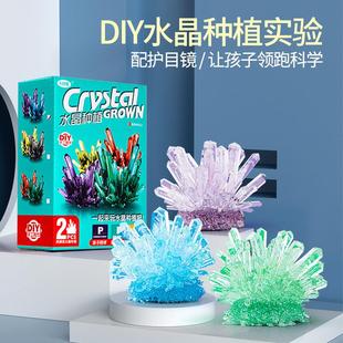 包邮儿童益智水晶种植圣诞树科学实验套装diy手工制作小学生晶体