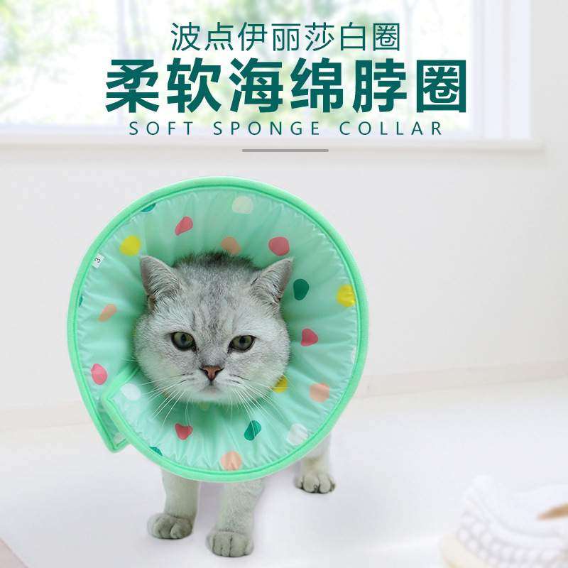 亚马逊波点伊丽莎白圈 柔软海绵脖圈 防舔咬美容宠物脖圈厂家,宠物/宠物食品及用品,宠物伊丽莎白圈,淘宝优惠券,粉丝福利购,淘宝优惠卷