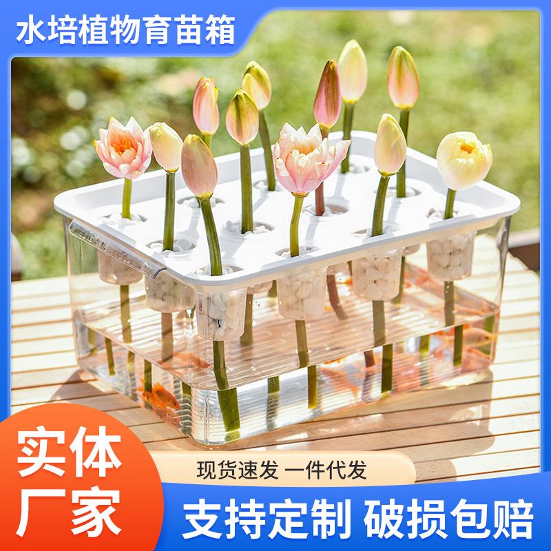 塑料透明鱼缸造景无土栽培设备种植箱静态阳台种菜水培植物育苗箱