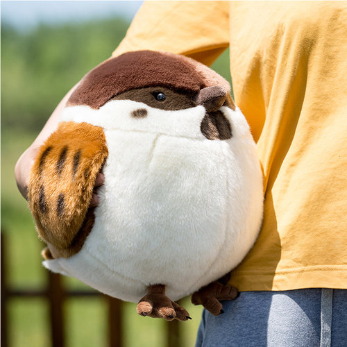 国家地理出品博物文创毛绒玩具鸟