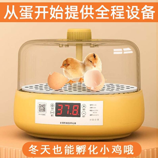 儿童礼物生日新年送女孩子5男孩八小学生6岁以上7的玩具8六一年级