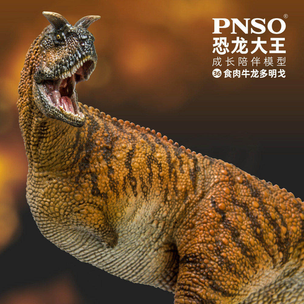 pnso食肉牛龙多明戈36成长陪伴图片