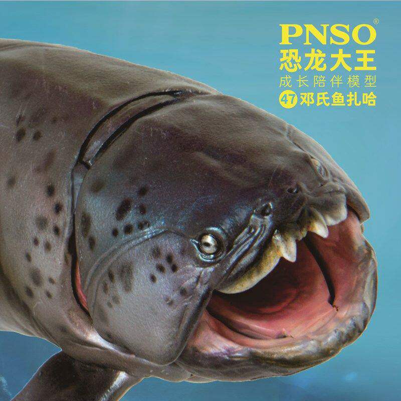 pnso恐龙大王成长陪伴扎哈邓氏鱼图片