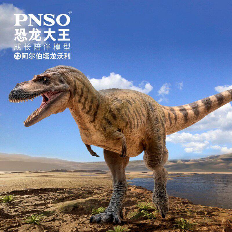 PNSO阿尔伯塔龙恐龙模型图片