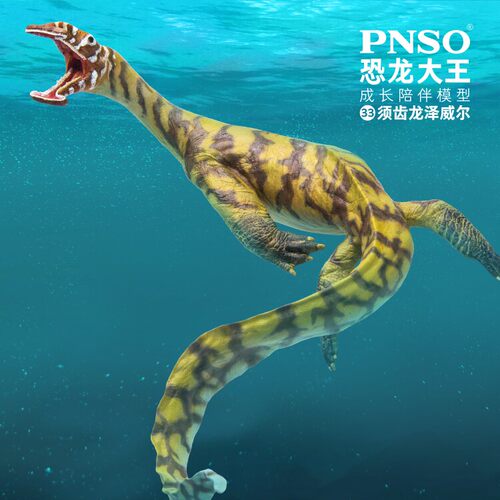 PNSO模型须齿龙泽威尔成长陪伴